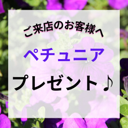 大好評！お花プレゼント♪