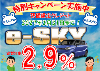 『ｅ-ＳＫＹ』かえるプラン特別キャンペーン！