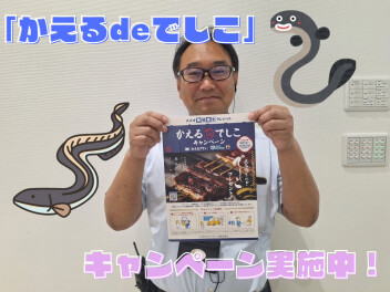 かえるプランで買いませんか？「かえるdeでしこ」キャンペーン実施中！