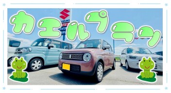 ☆★かえるプラン商談会★☆