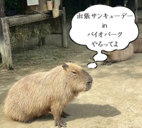 出張サンキューデー開催決定！