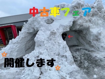 ２月６日・7日はアピオへ☆彡