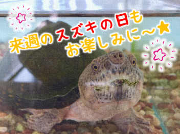 ご来場ありがとうございました！