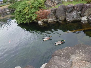 杖の淵　【じょうのふち】　公園