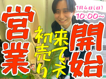 **本日から営業開始です!!**