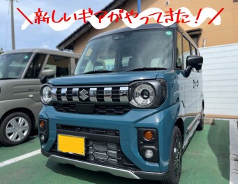 ★　╲新しいギアがやってきた！／　★