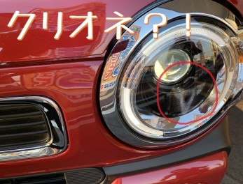 隠れ？！？クリオネ☆☆