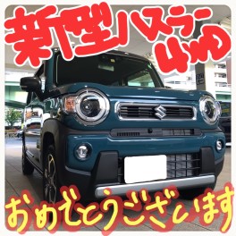 新型ハスラーご納車★アクティブな４WD