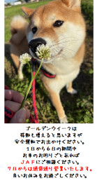 ゴールデンウイークはご安全に！