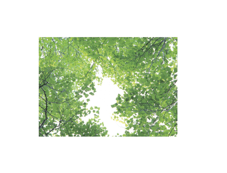 ゴールデンウイークの休日と営業日のお知らせ