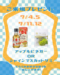 7月のご来場プレゼントのご案内♪