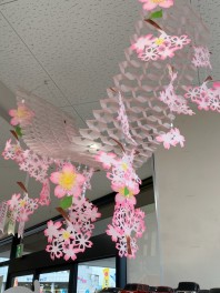 店内模様替えしました♪