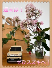 週末はスズキへ！