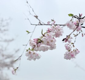 週末展示会ご来場ありがとうございました！