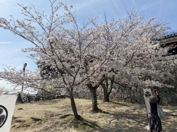 春のおとずれ・土日はスズキの日！！