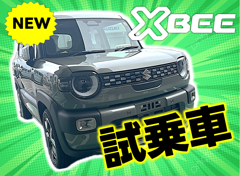 とよま玄昌石乗車券 とよま玄昌石乗車券 とよま玄昌石乗車券