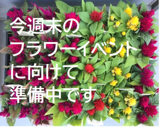 八女日記　「明日からの３連休アリーナ八女インターのショールームへお越しください」