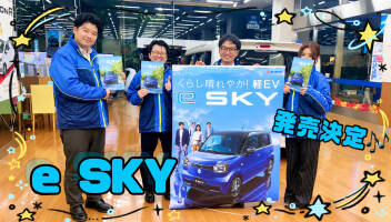 ｅSKY★軽乗用EV
