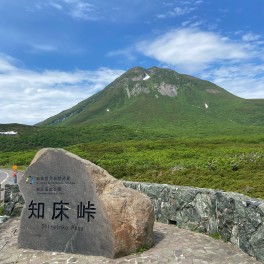 久しぶり、大越の休日。