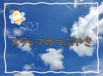 スタッフのつぶやき～(*´▽｀*)