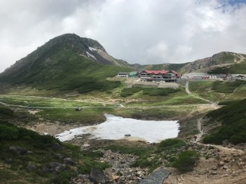 初めまして！！大五郎と申します！！！