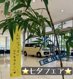 もうすぐ七夕ですね・・・☆彡