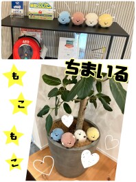 スマイルのキャラクター「ちまいる」