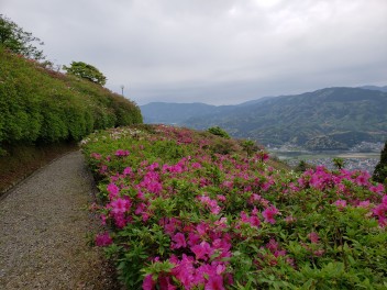 冨士山（とみすやま）公園☆