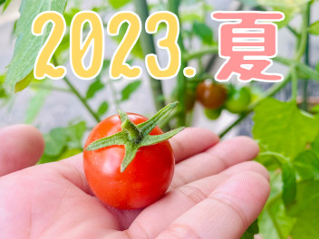 2023.夏