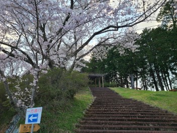 冨士山公園