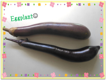 Eggplant いただきました！！＆オリパラ...？！