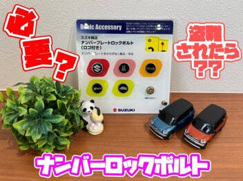 **ナンバープレートロックボルトって必要？？**