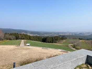 お花見に行ってきました✿