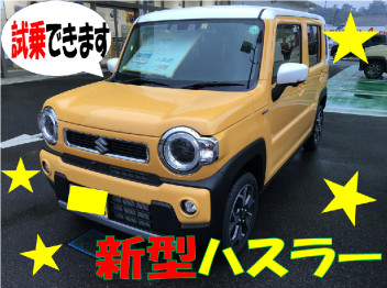 ！！！　新型ハスラー　試乗車　入りました　！！！