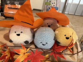 店内秋仕様になりました～