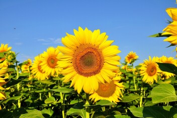 本日より営業再開です！