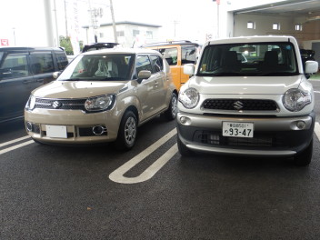 イグニスが試乗車に仲間入りしました☆彡