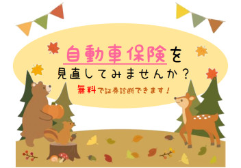 任意保険の見直し、無料でできます☆