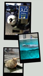 去年の振り返りＩｎ三重