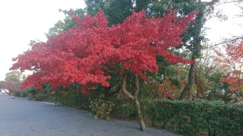 京都