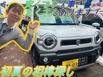 可愛い車も！かっこいい車も！安くします、圧倒的に…