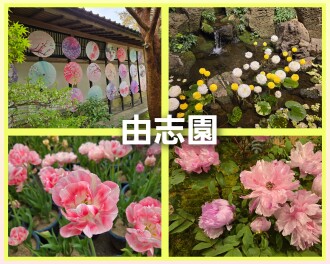 由志園と大東窯に行ってきました