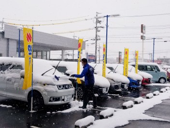 ゆき　ユキ　雪