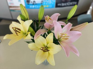 お花の差し入れ