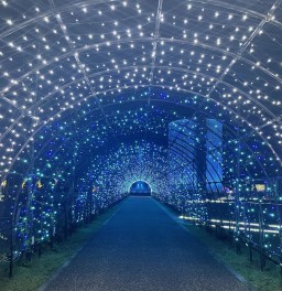 夜のお散歩★