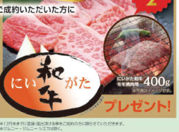夏先取りフェア、やってます！