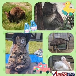 和田です！　わーちゃんです④