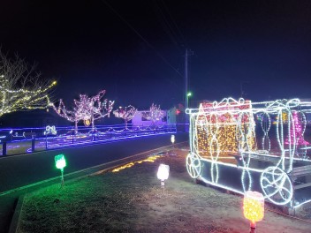 ♪大和地区のイルミネーション♪