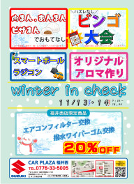 winter in check 2021