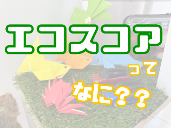 知ってますか？エコスコア